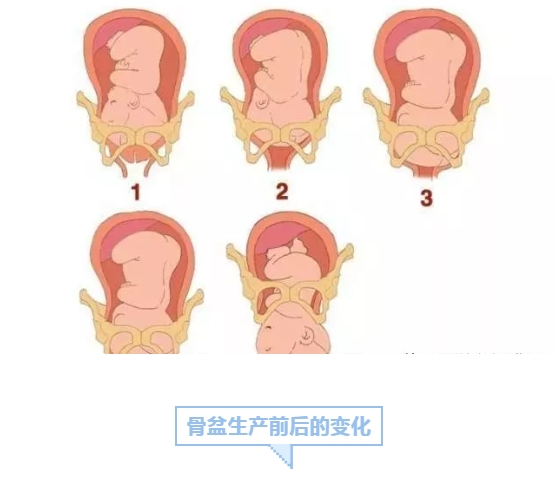 微信截圖_20240812153403.png