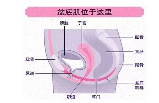 微信截圖_20220414165950.png