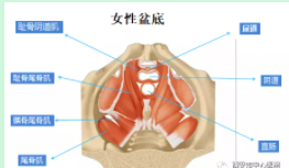 微信截圖_20220119155442.png